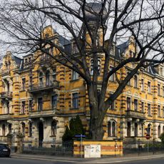 Niederwaldstraße 37