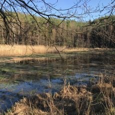 Loučeňské rybníčky