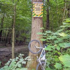 Nekhvoroshch forestry preserve