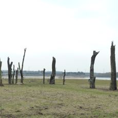 Woodhenge of Meers