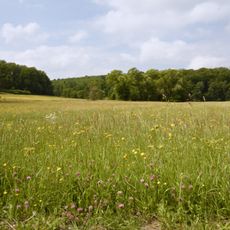 Dattenbachtal zwischen Kröftel und Vockenhausen