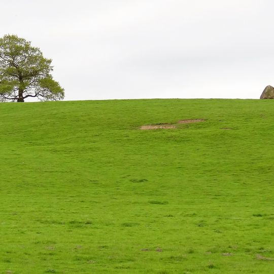 Carved rock known as the Grey Stone in Grey Stone Pasture, Harewood Park, 370m south east of New Bridge