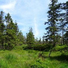 Harz Nature Park
