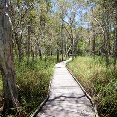 Burrum Coast National Park