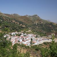 Benadalid