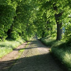 Allee Ringenwalde – Poratz
