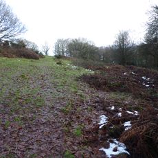 Ulverscroft Nature Reserve