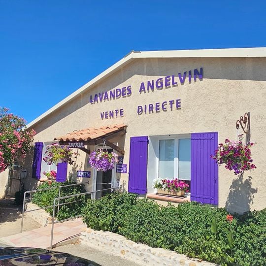 Lavandes Angelvin