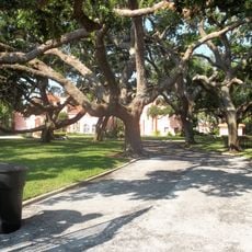 Casa De Muchas Flores