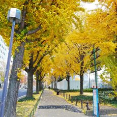 Wakamiya Ōdōri Park