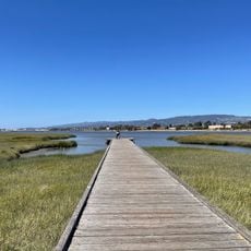 Martin Luther King Jr. Shoreline
