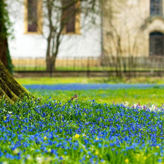 Schlosspark Ellingen