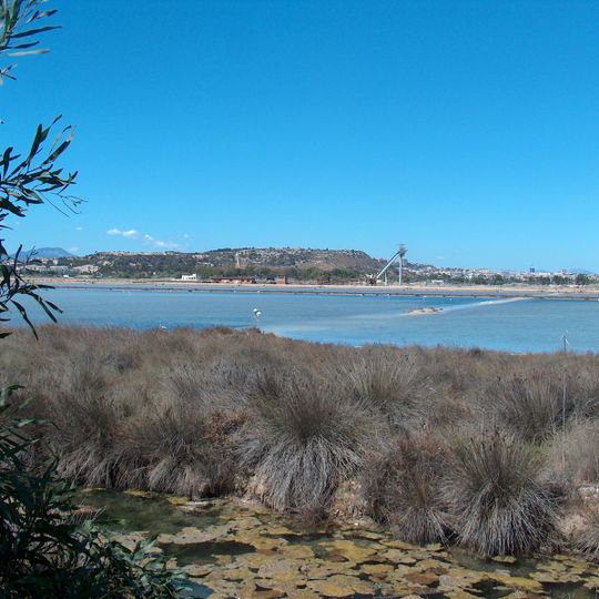 Molentargius - Saline Regional Park