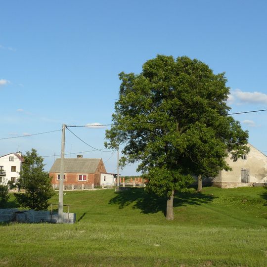 Rejowiec, Greater Poland Voivodeship