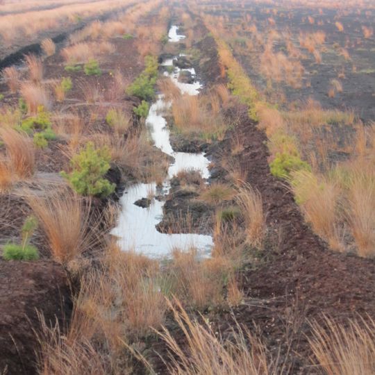 Aschener Moor/Heeder Moor