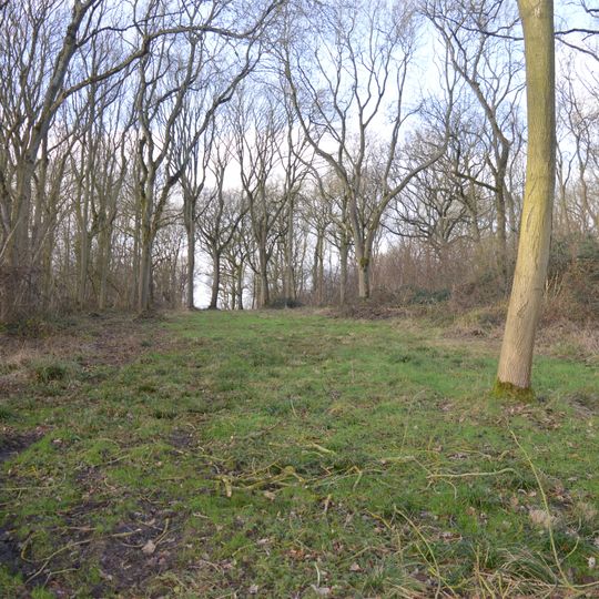 Park Wood, Cambridgeshire