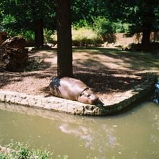 Zespół parku miejskiego na Wyspie Bolko