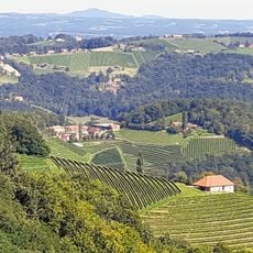 1. Steirisches Weinmuseum Kitzeck