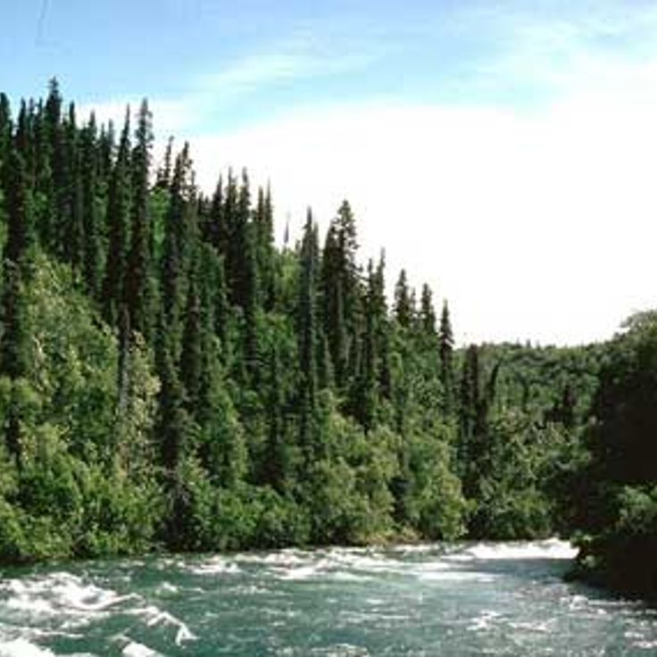 Alagnak Wild River