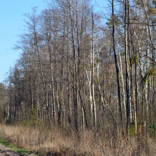 Lisova khashcha nature monument