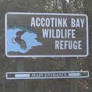 Accotink Bay Wildlife Refuge
