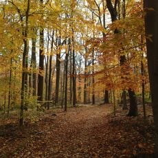 Watchung Reservation