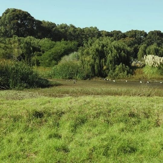 Dick Dent Bird Sanctuary