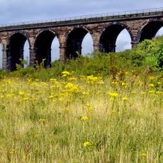 Frodsham Viaduct Number 53