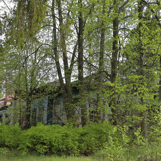 Karpova estate, Sushnevo