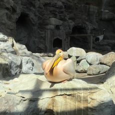 동물공연장