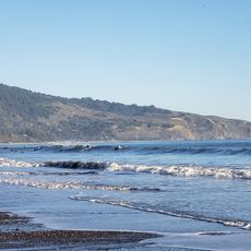 Marin-Bolinas Botanical Gardens