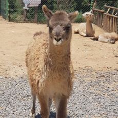 济南野生动物世界