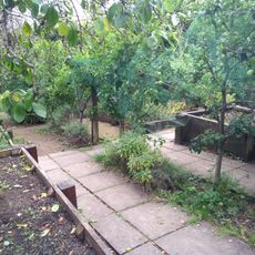 The Children's Garden