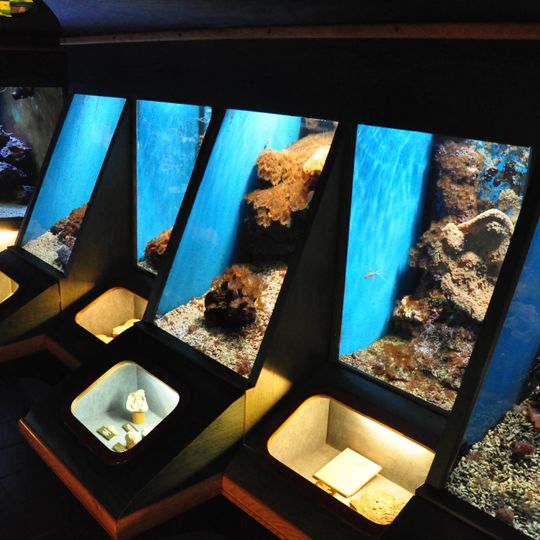 Musée de la réserve géologique de Haute-Provence