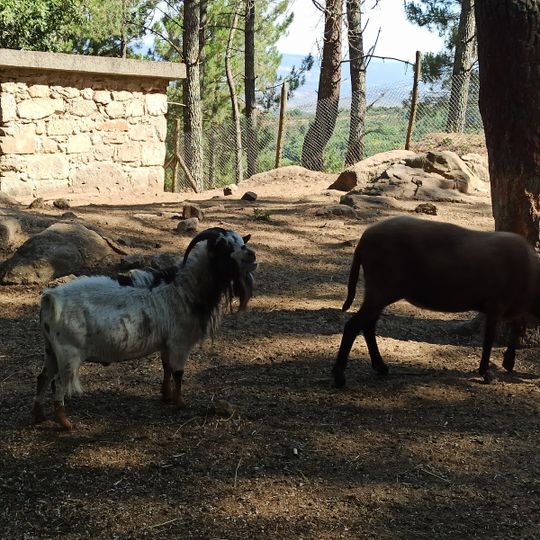 Parque Ecológico de Gouveia