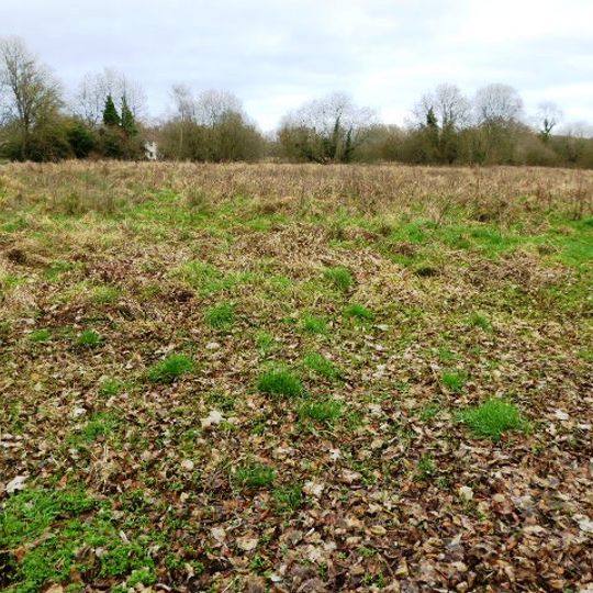 Boxford Water Meadows