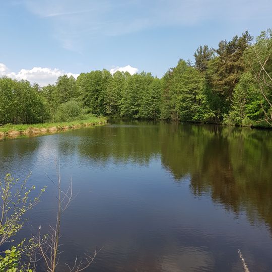 Hirschberg- und Heidweiher in der Gabellohe