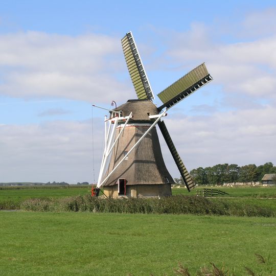 Miedenmolen