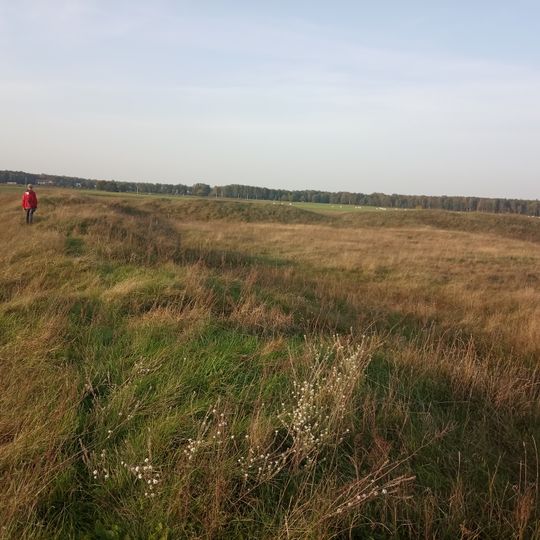 Молодечненский замок