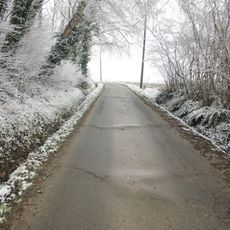 Rotelenberg