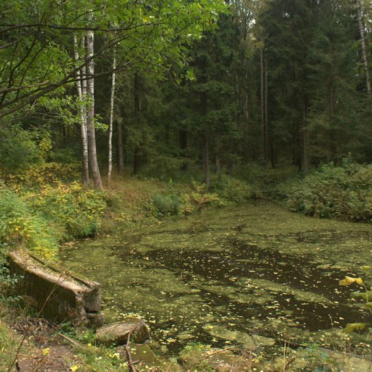 South Lower Novoshaleyny pond in Pavlovsk park