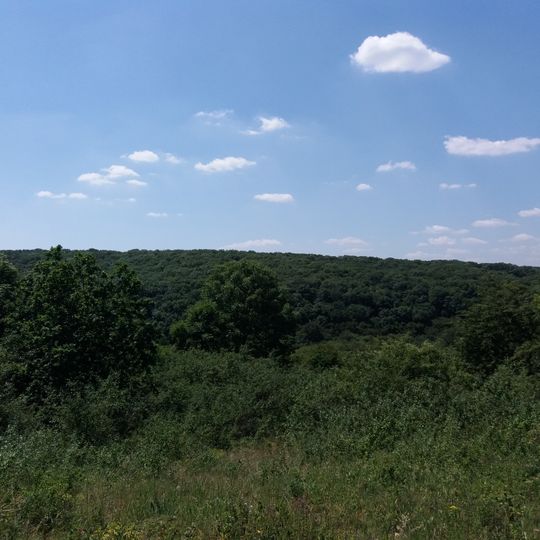 Likarivskyi Botanical Reserve