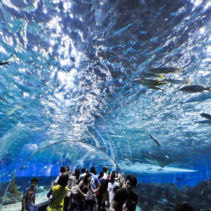 Manila Ocean Park
