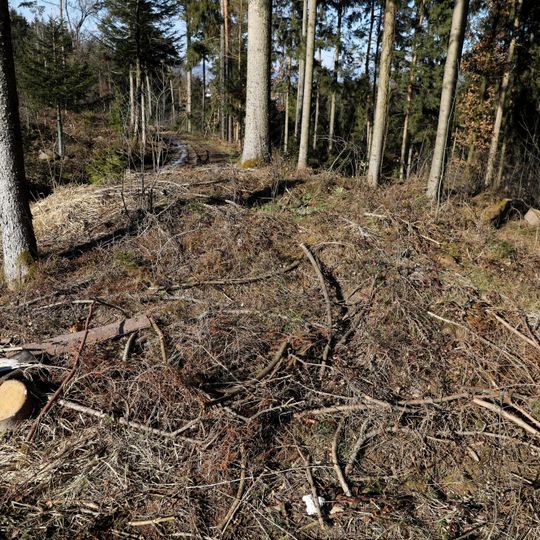 Hügelgräber im Kaiserwald