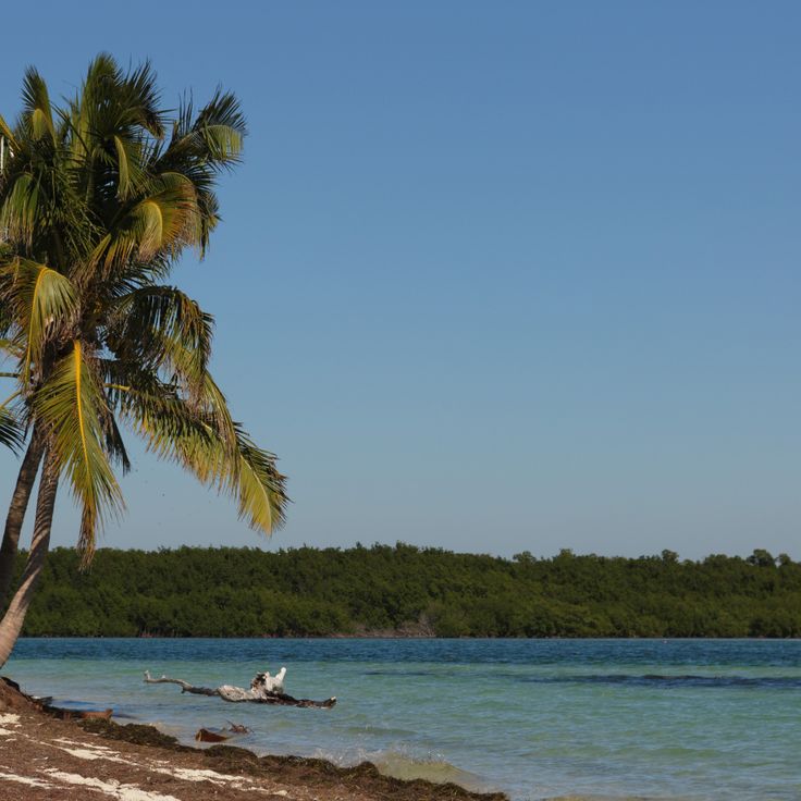 Bahia Honda Beach