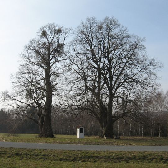 Naturdenkmal 2 Linden