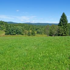 Black Forest Biosphere Reserve