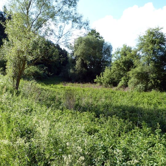 Feuchtgebiet bei der Marienkapelle