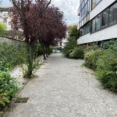 Passage des Nymphéas