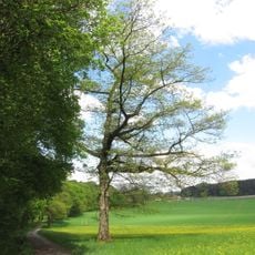 Ehemaliger Wallfahrerweg